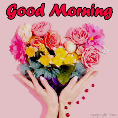 good morning heart shape photo