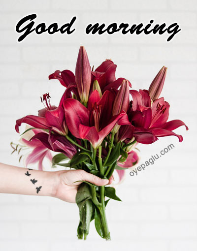 person holding maroon good morning image