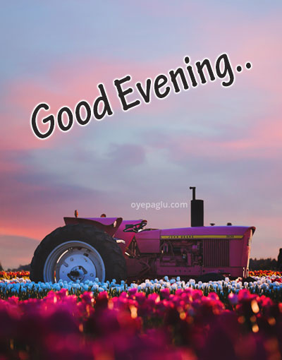tractor good evening flower image
