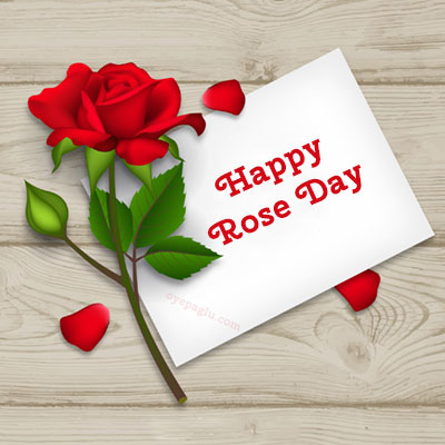 happy rose day cartoon image