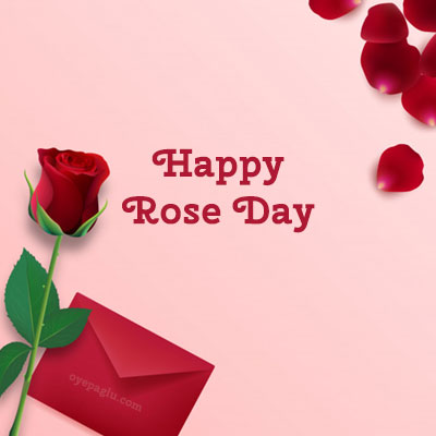 happy rose day my sweetheart