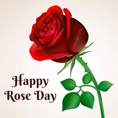 happy rose day only big rose