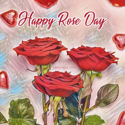 happy rose day special flower