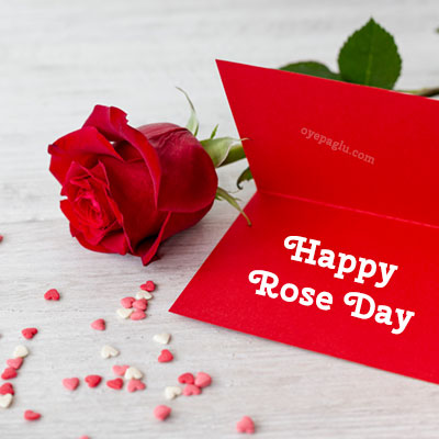 happy rose day with card and rose