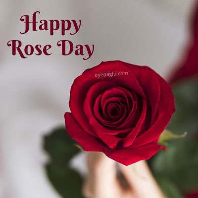 happy rose day with hand