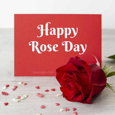 happy rose day with red rose