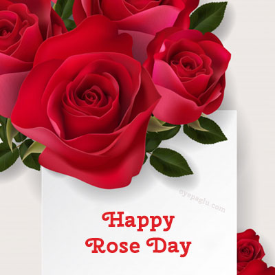 rose buke happy rose day image