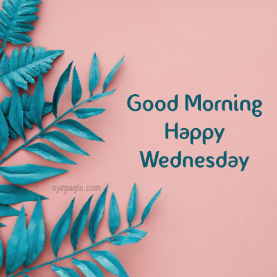 Blue border leaves good morning wednesday image