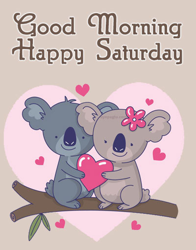 Cute koala couple good morning saturday image