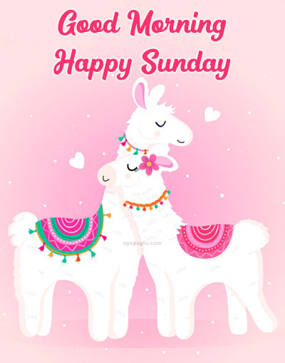 cartoon horse love good morning sunday image