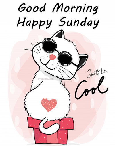 cool cat good morning sunday image