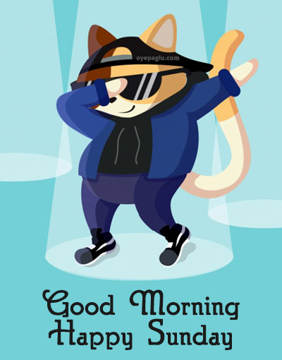 dancing cat good morning sunday image