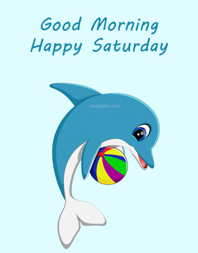 dolphin with ball good morning saturday image