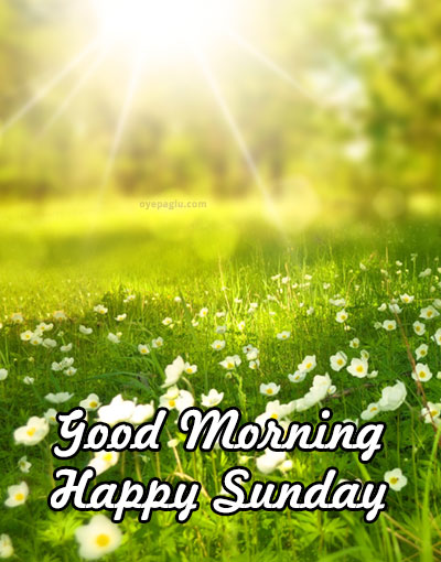 50+ latest GOOD MORNING SUNDAY images, pics, photos and pictures