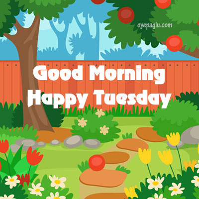 ᐅ121+ Good Morning Tuesday Images for Whatsapp Free Download