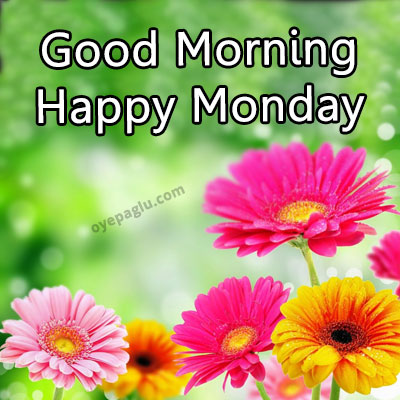 50+ Good Morning MONDAY Blessings IMAGES Free Download