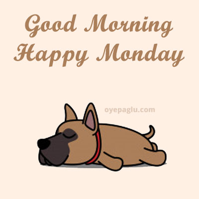 lezy dog good morning monday image