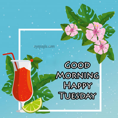 orange juice good morning tuesday image