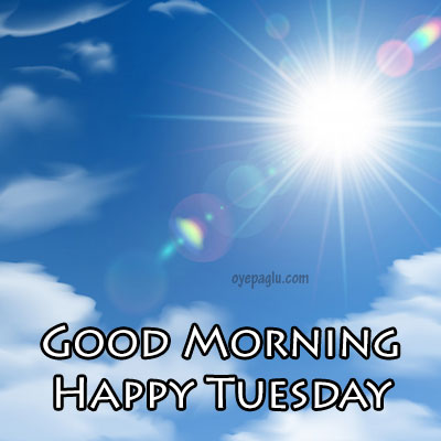 Good Morning Tuesday Images free download dp size pic