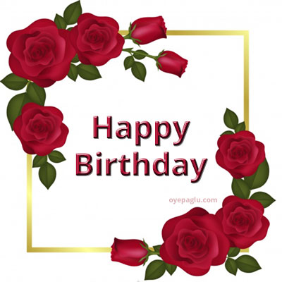 Floral frame happy birthday roses images