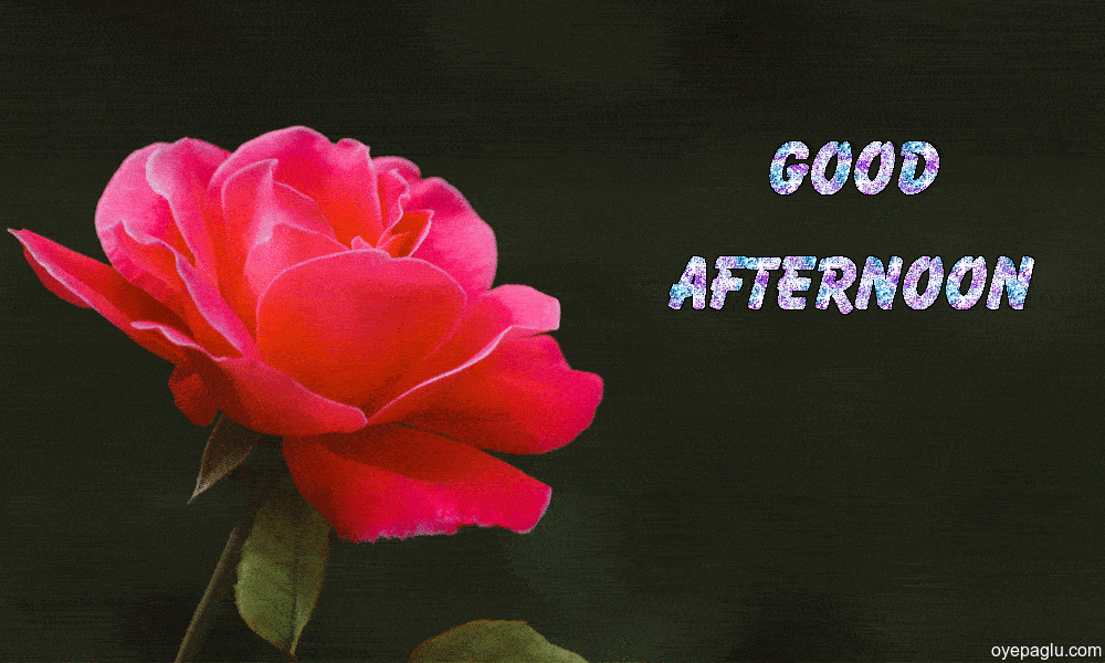 Best 50+ GOOD AFTERNOON GIF for Free Download and share
