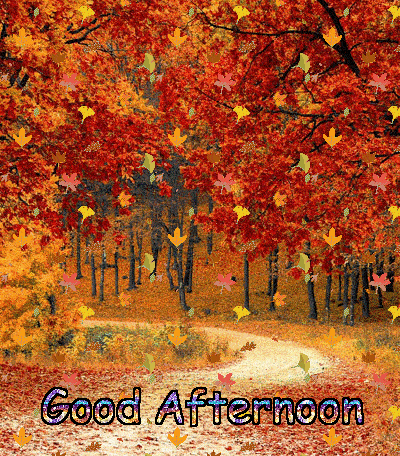 beautiful nature good afternoon gif
