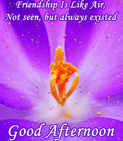 good afternoon flower gif