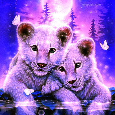 Together White Lions Stylish dp