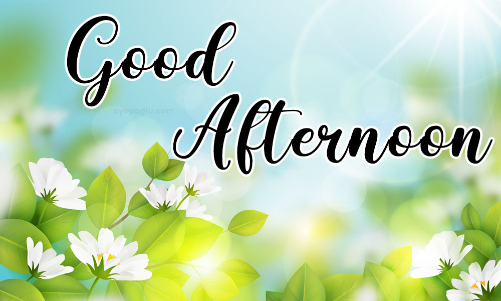 50+ Good afternoon wishes for Free Download