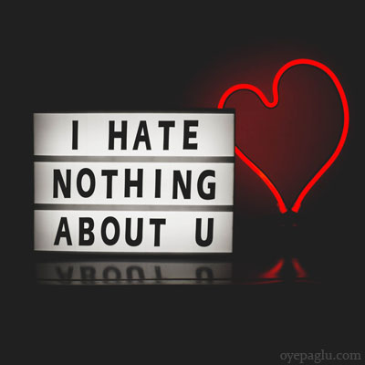 i hate nothing about you dp