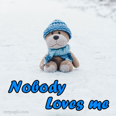 nobody loves me dp