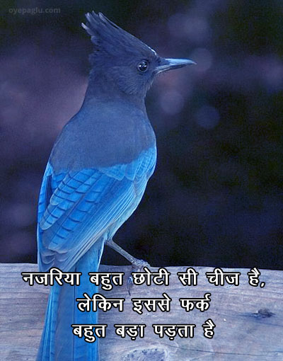 bird Hindi status with image