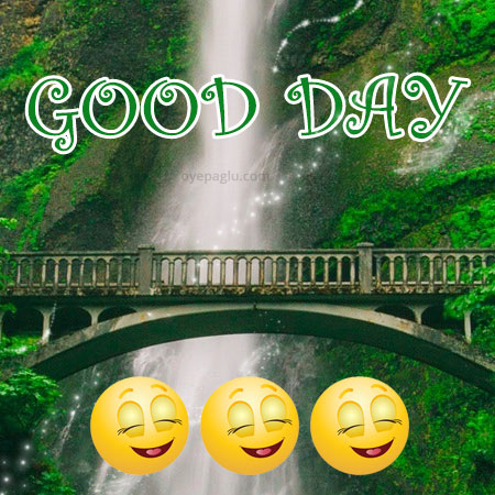 beautiful good day photo