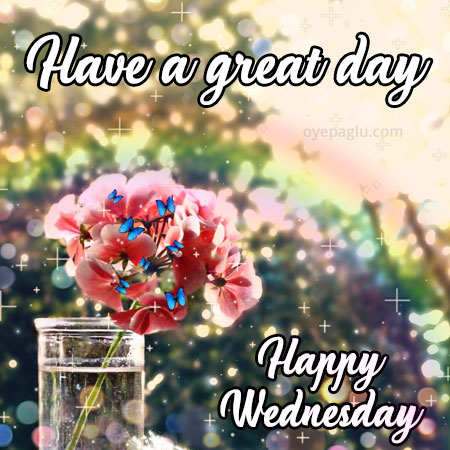have a great day happy wednesday
