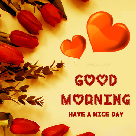 have a nice day images for lover