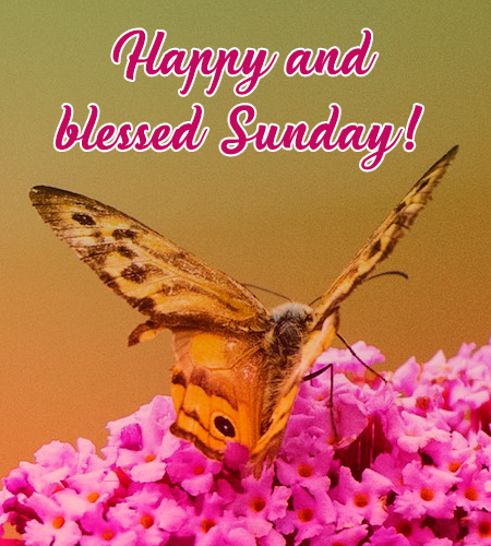 happy and blessed sunday images