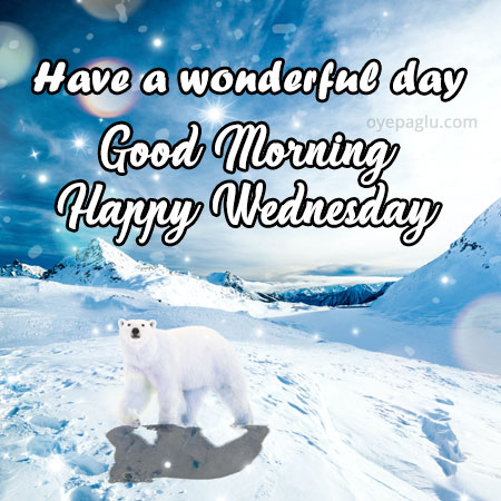 have a wonderful day happy wednesday