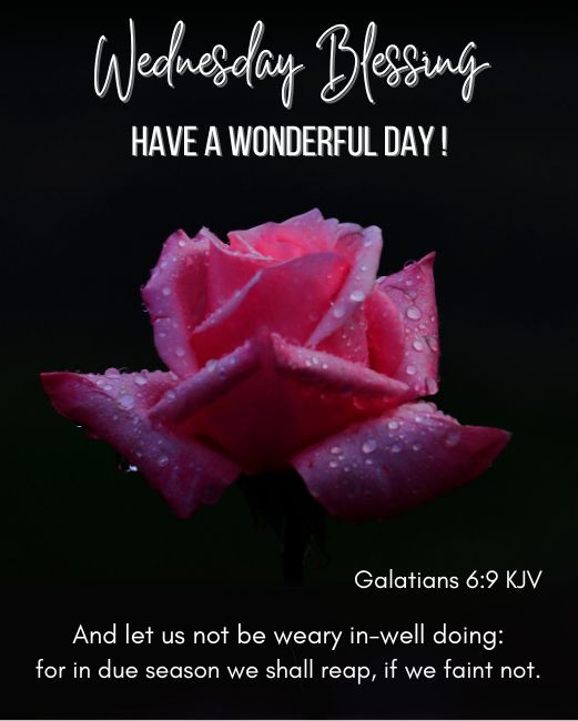 wednesday blessings bible verses