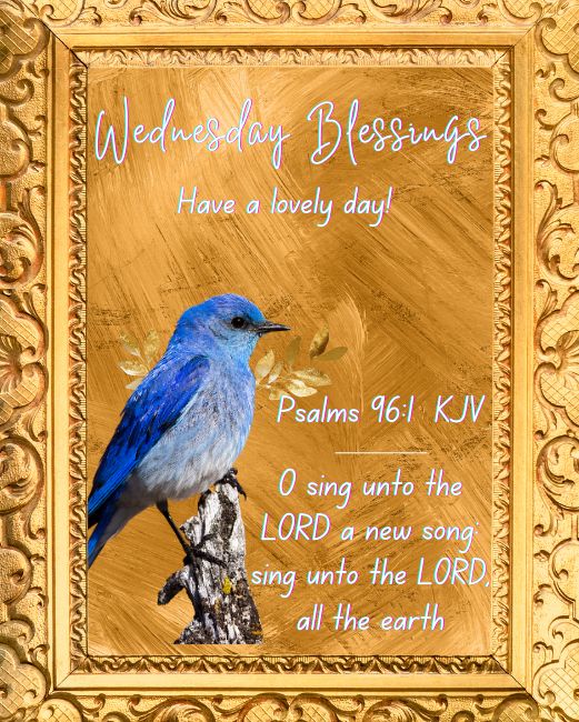 A Day Filled with Wednesday Blessings