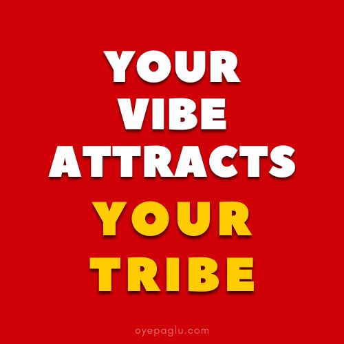 Your vibe attracts your tribe