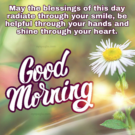 Latest Flowers Hd Image With Morning Blessing