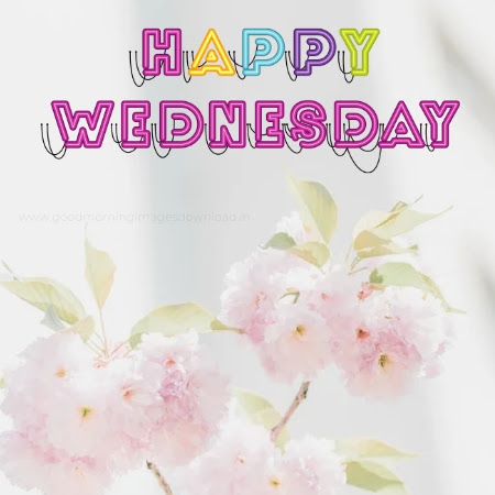 have a blessed wednesday images