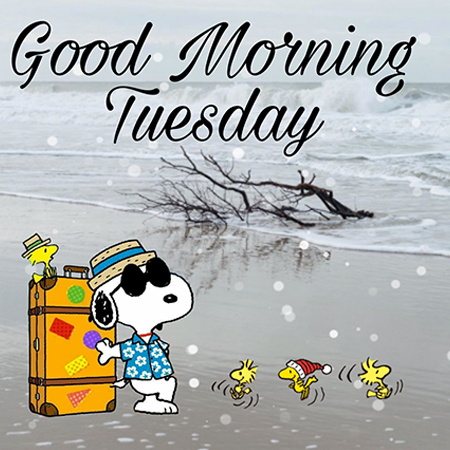 good morning snoopy tuesday quotes