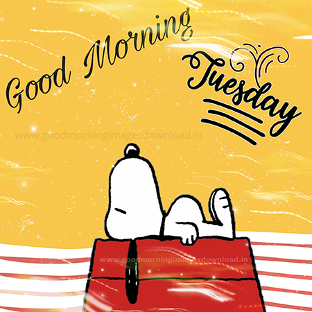 good morning tuesday snoopy pictures