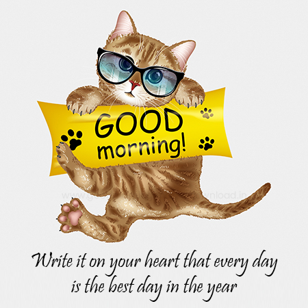 good morning cat images download