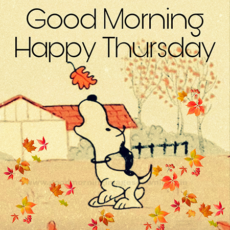 good morning happy thursday snoopy images