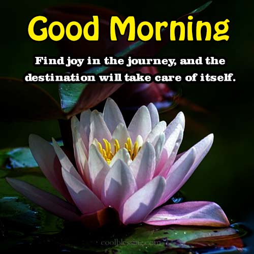 Good Morning Lotus Flower Blessings and Images