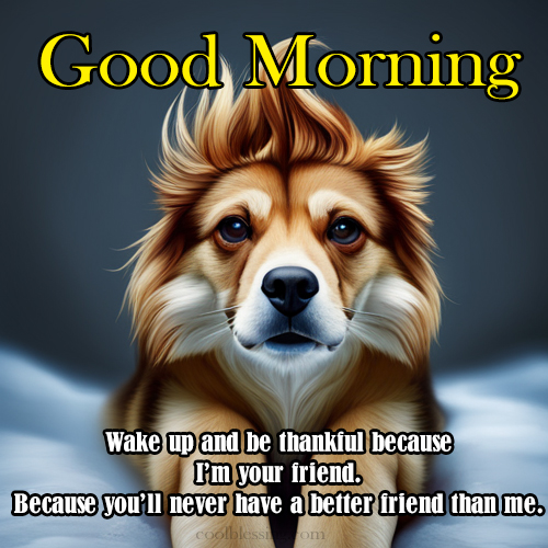 funny dog good morning images