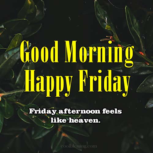 good morning happy friday positive quotes