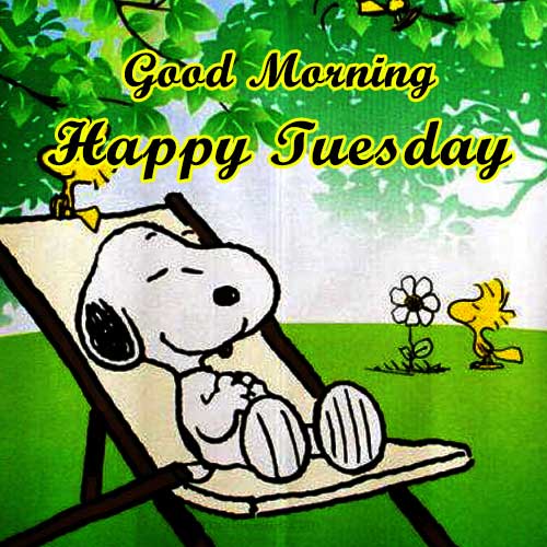 snoopy tuesday quotes